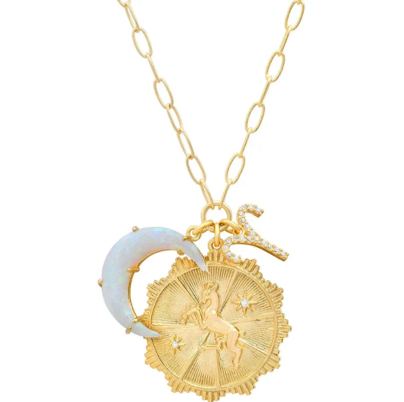 Zodiac Charm Necklace