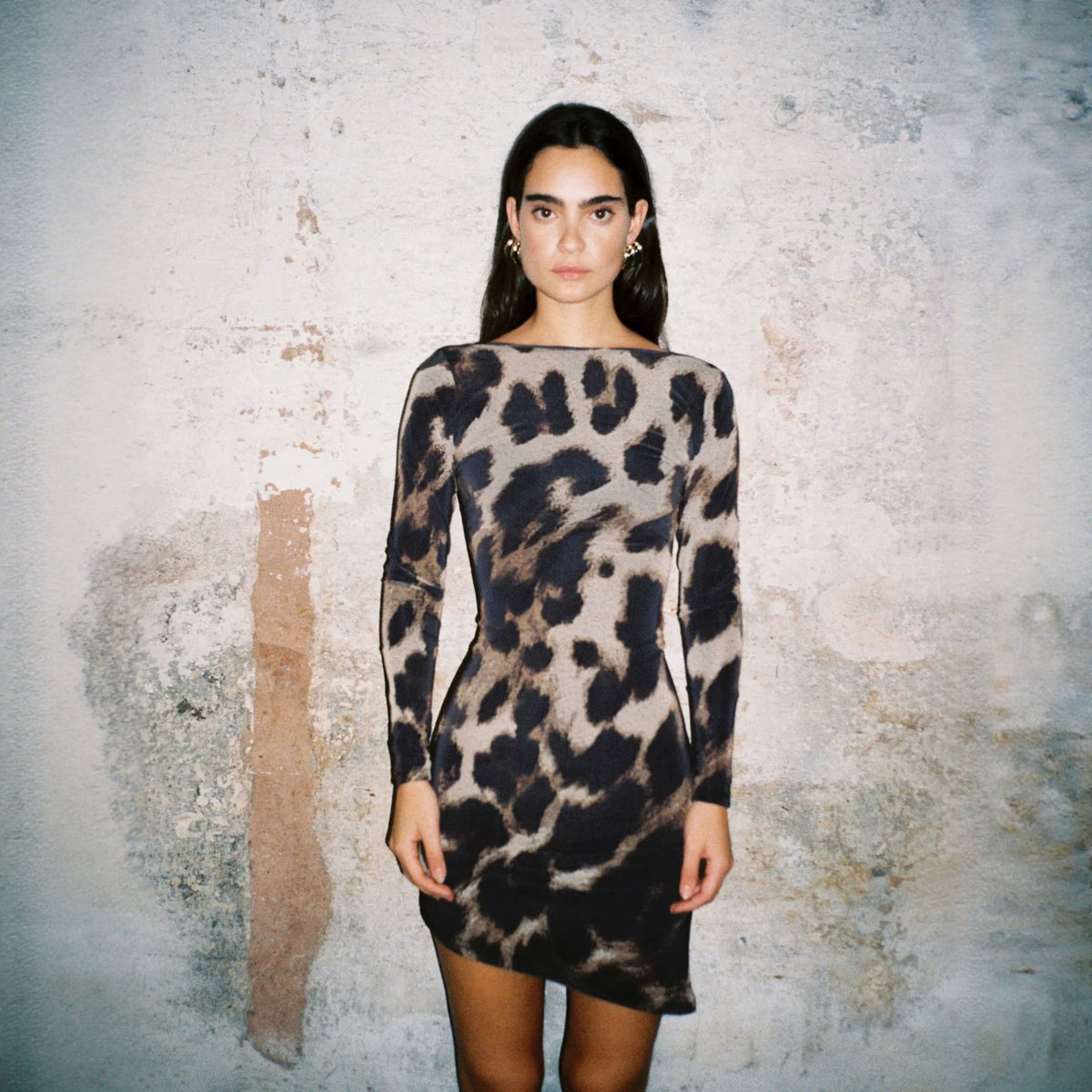 Animal Print Long Sleeve Dress