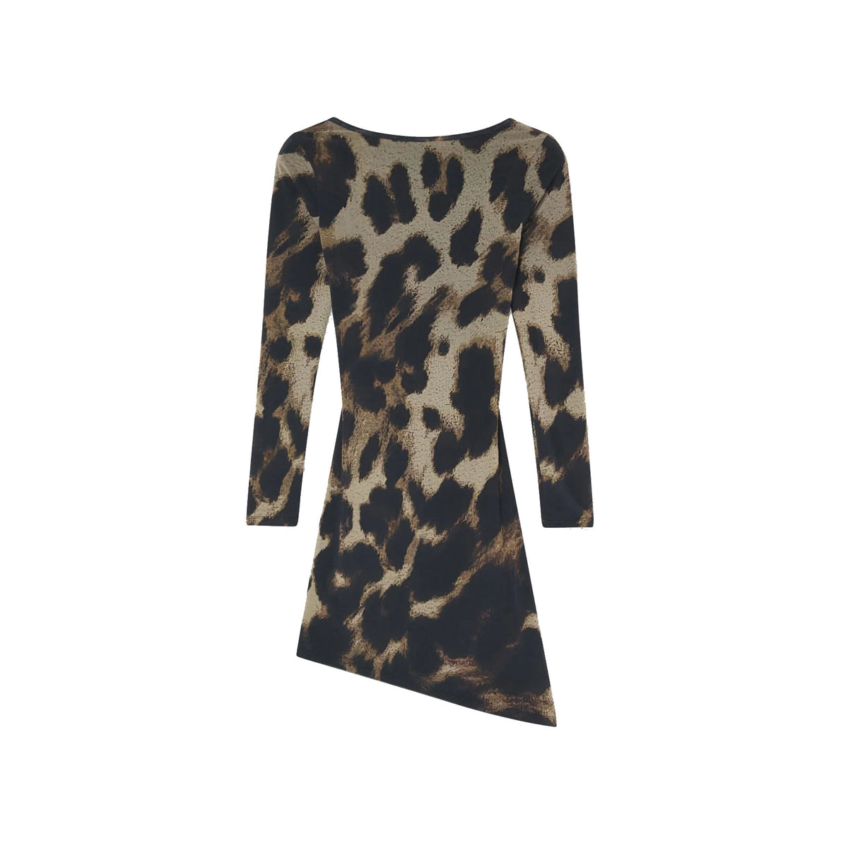 Animal Print Long Sleeve Dress