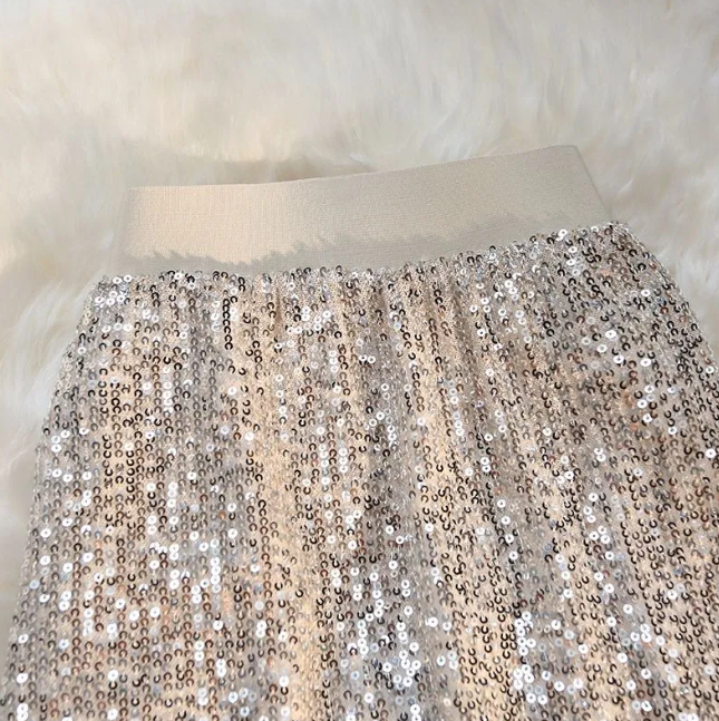 Silver Sequin Maxi Skirt